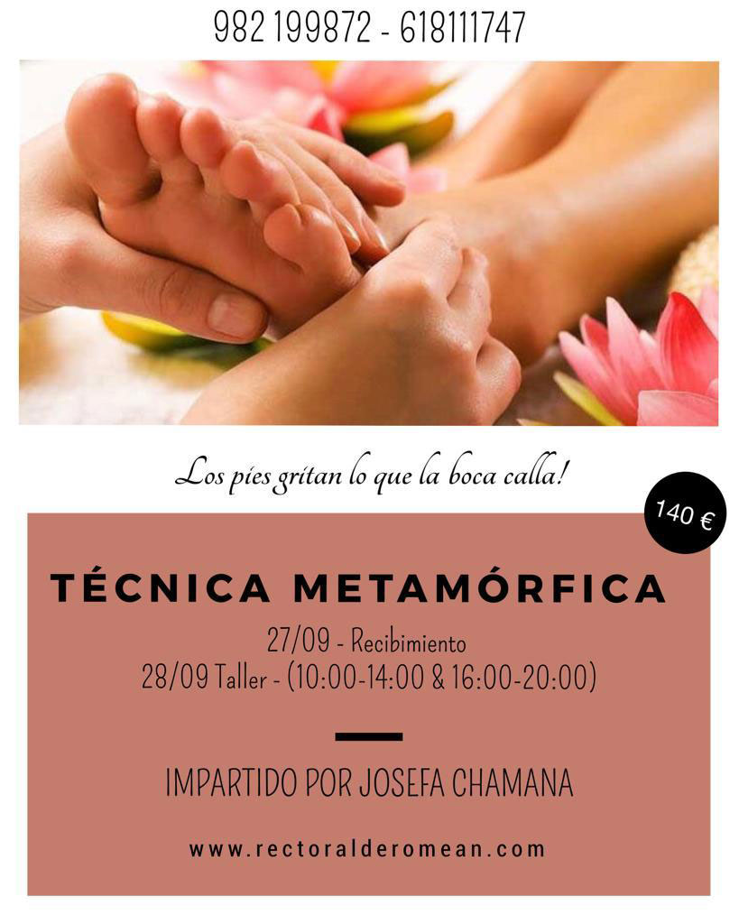TÉCNICA METAMÓRFICA